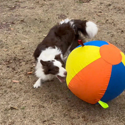 Kinova™ Giant Ball