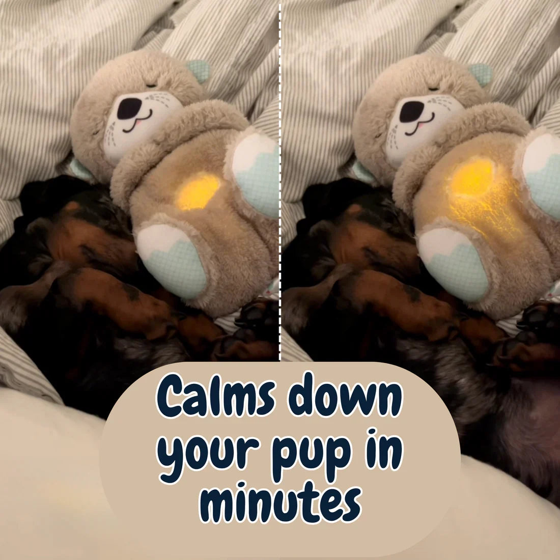 Kinova Calming Breathing Otter