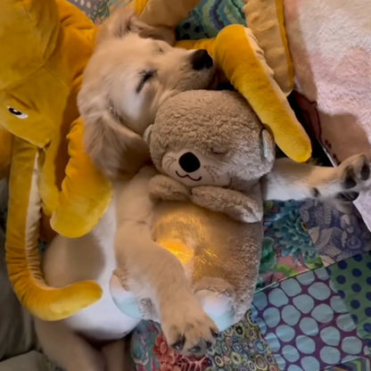 Kinova Calming Breathing Otter