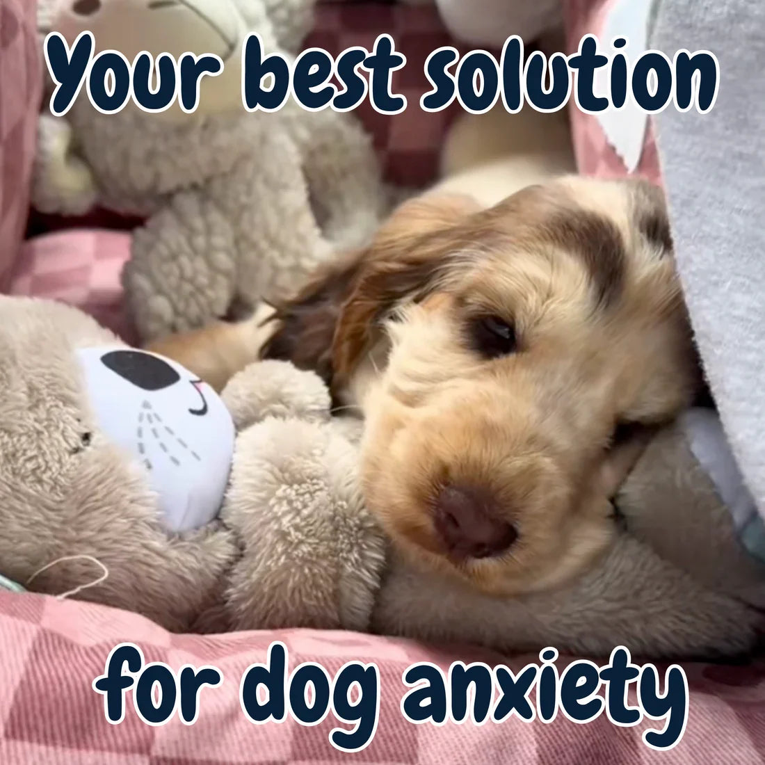 Kinova Calming Breathing Otter