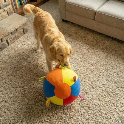 Kinova™ Giant Ball