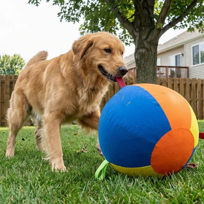 Kinova™ Giant Ball
