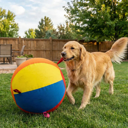 Kinova™ Giant Ball