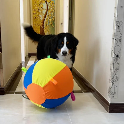 Kinova™ Giant Ball