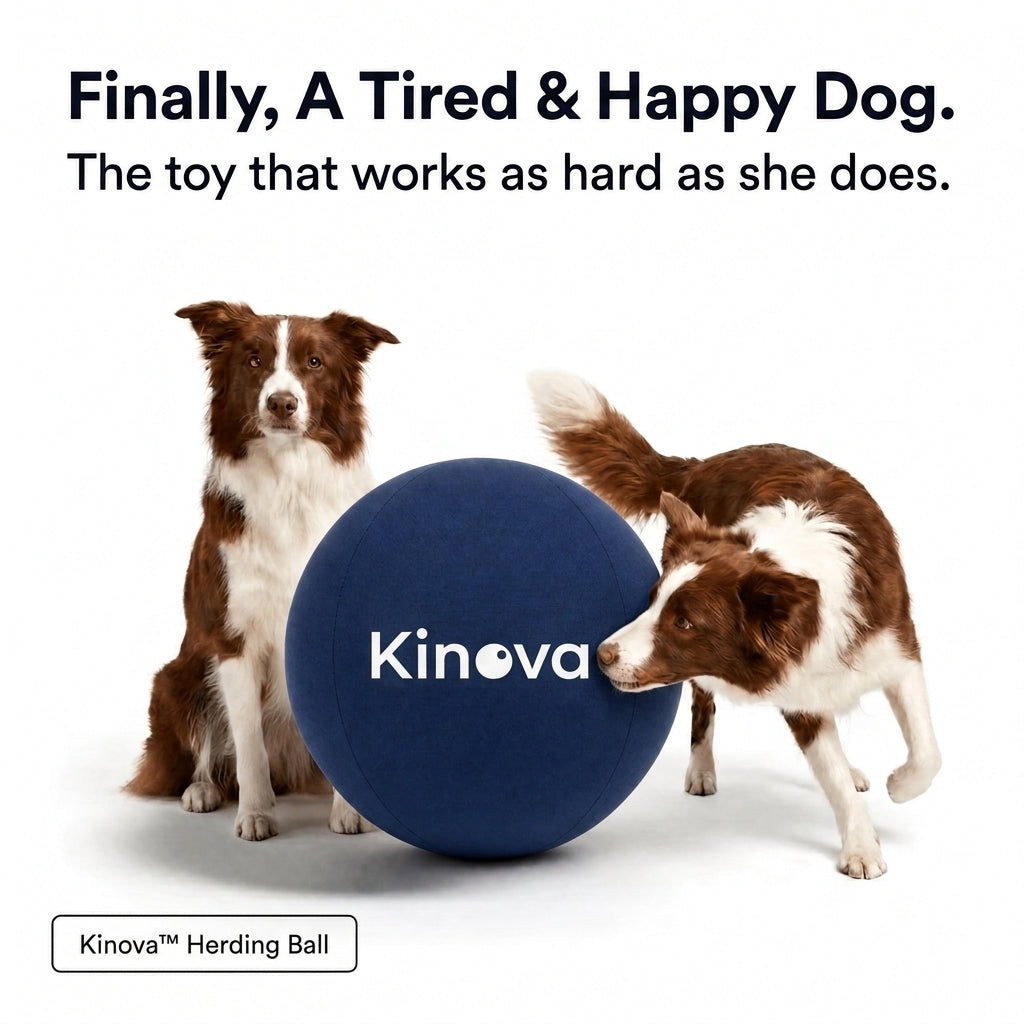 Kinova Herding Ball