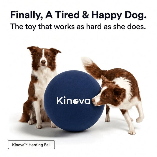 Kinova Herding Ball