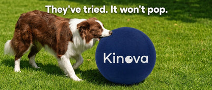 Kinova Herding Ball