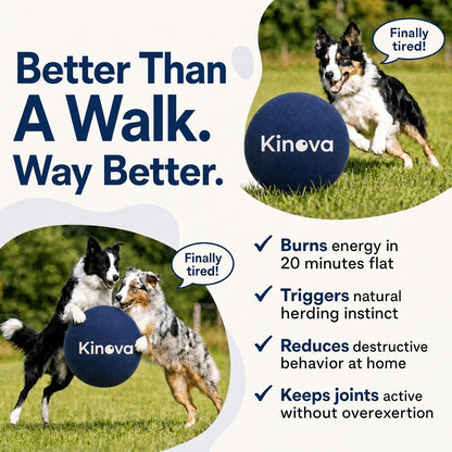 Kinova Herding Ball
