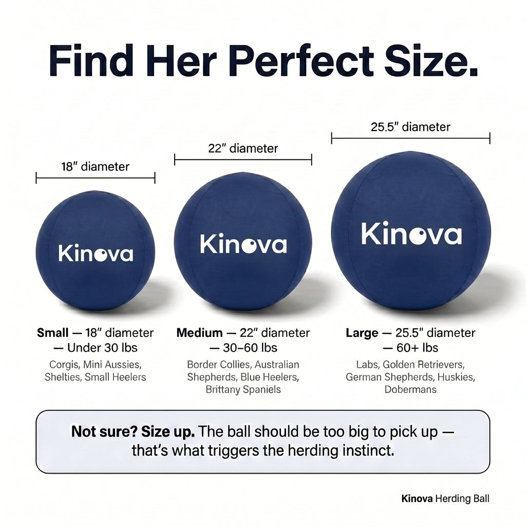 Kinova Herding Ball