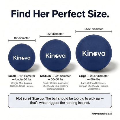 Kinova Herding Ball