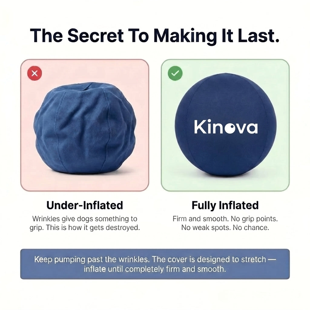 Kinova Herding Ball